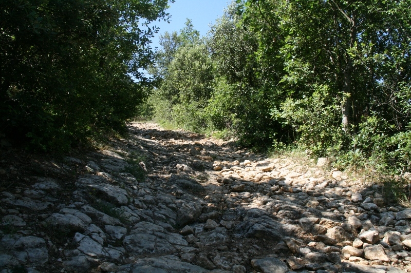 Village Camps International Summer Camp Ard&egrave;che, France 2019-07-26 https://www.villagecamps.com/journals_admin/images/631-16-02-07-2013.jpg lossless (7).jpg